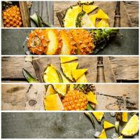 Food collage of fresh pineapple. photo