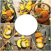 Food collage of fresh pineapple. photo