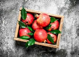 Ripe pomegranates in a box. photo