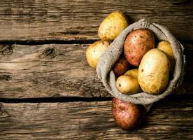 Fresh potatoes in an old sack on wooden background. Free place for text. photo