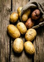 Fresh potatoes in an old sack on wooden background photo