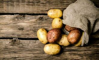 Fresh potatoes in an old sack on wooden background. Free place for text. photo