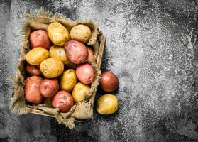 Fresh potatoes in a box. photo