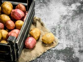 Fresh potatoes in a box. photo