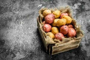 Fresh potatoes in a box. photo