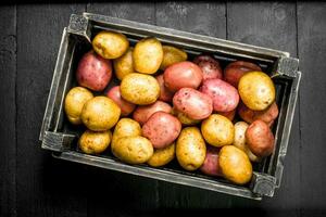 Fresco patatas en un antiguo caja. foto