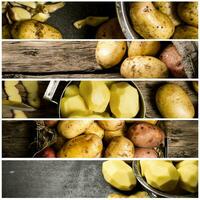 Food collage of fresh potato . photo