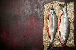 Fresh salmon on old paper. On rustic background. photo