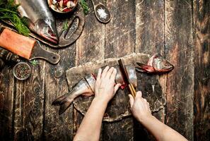 Raw fish. Cutting fresh salmon women's hands. On the old wooden table. photo