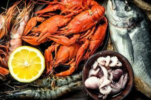 Seafood in an old tray. photo