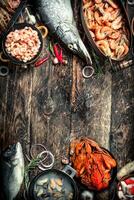 Different seafood on table. photo