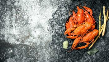 Fresh cooked crayfish. photo