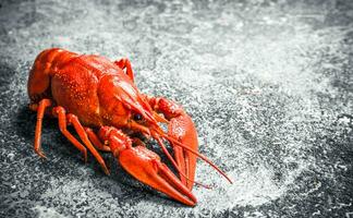 Welded river crayfish. photo