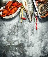 Different fresh seafood. photo