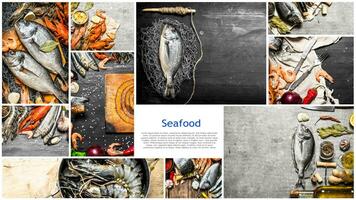 Food collage of seafood . photo