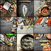 Food collage of seafood . photo