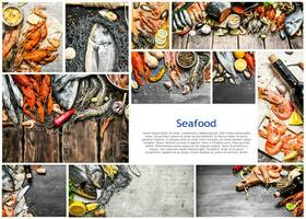 Food collage of seafood . photo