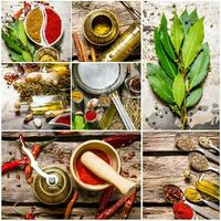 Food collage of herb and spice. photo