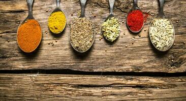 Different kinds of spices in spoons. On wooden background. photo