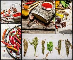 Food collage of herb and spice. photo