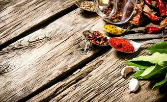 A lot of different spices in spoons with herbs and garlic. photo