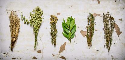 A set of herbs. On rustic background. photo