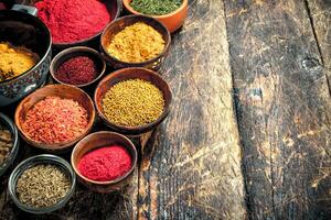 Various ground spices and herbs. photo