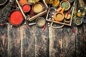 Various spicy spices and herbs. photo