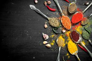 Ground spices and herbs in spoons. photo