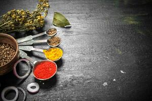 Spices and herbs with measuring spoons. photo