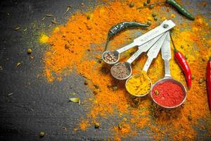 Spicy spices in measuring spoons. photo