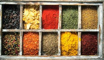 Various herbs and spices in special box. photo