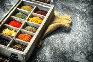 Various herbs and spices in a special box. photo