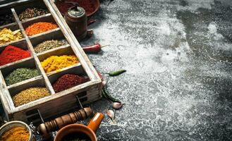 Various herbs and spices in a special box. photo