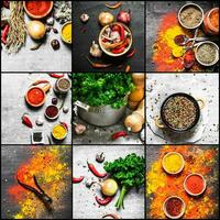 Food collage of indian spice and herb. photo