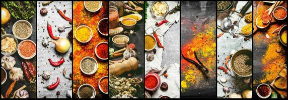 Food collage of indian spice and herb. photo