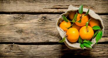 Fresh tangerines in an old bag of leaves. photo