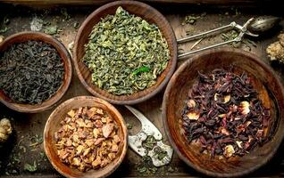 Different kinds of fragrant tea in bowls. photo