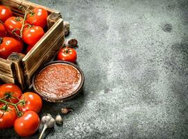 Tomato sauce with spices and garlic in a bowl. photo