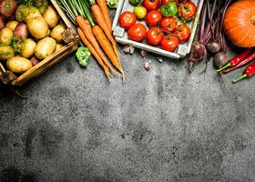 Organic food. Harvested vegetables. photo