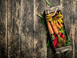 Organic food. Fresh harvest of vegetables. photo