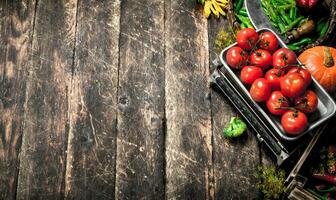 Organic food. fresh crop of vegetables. photo