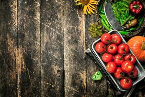 orgánico alimento. Fresco cosecha de vegetales. foto