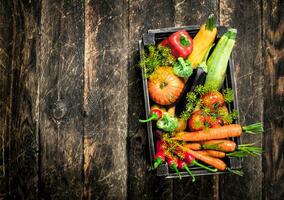 Organic food. Fresh harvest of vegetables. photo