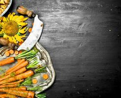 Organic food. Fresh carrots on a steel tray. photo