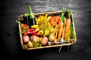 orgánico alimento. Fresco vegetales en un antiguo de madera caja. foto