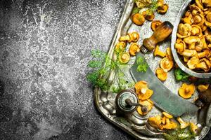 Fresh chanterelles mushrooms with herbs and an old knife on a steel tray. photo