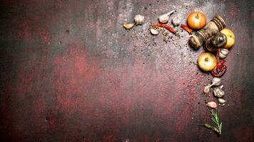 Fresh spices. A variety of aromatic spices with chili peppers and onions. On rustic background. photo