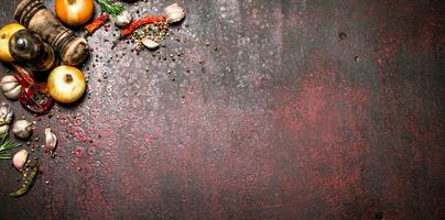 Fresh spices. A variety of aromatic spices with chili peppers and onions. On rustic background. photo