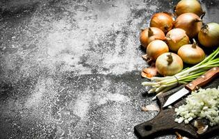 Fresh chopped onion on the old Board. On rustic background. photo